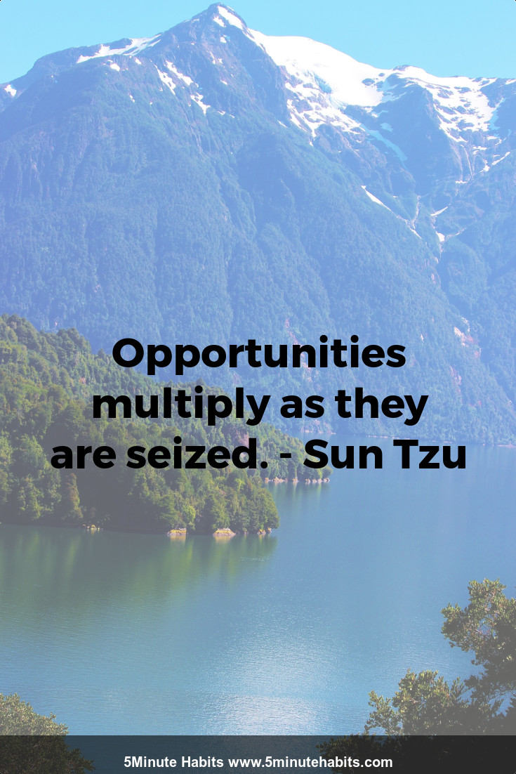 Opportunities multiply as they are seized. - Sun Tzu